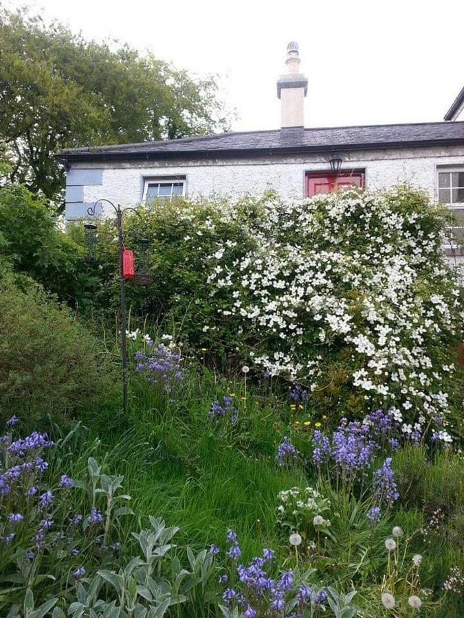Gormanstown House Apt, The Island Tullamore Luaran gambar